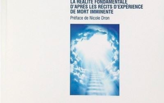 La Paix finale - livre de Sebastien Auffroy